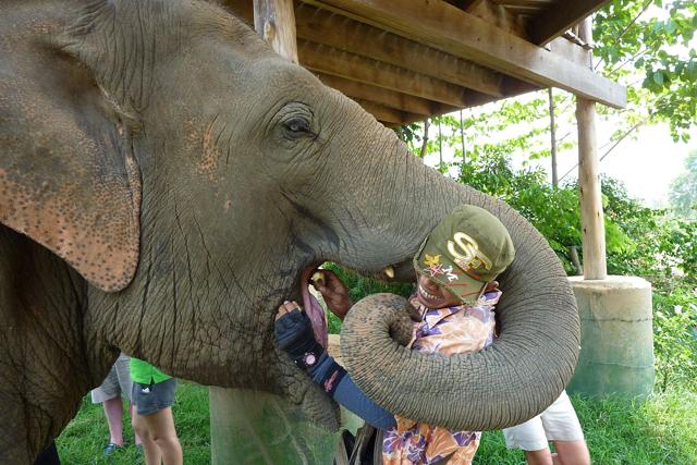 Elephant Nature Park